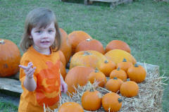 pumpkin1.jpg